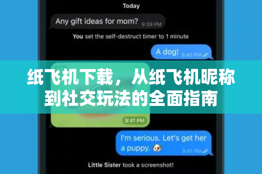 纸飞机下载，从纸飞机昵称到社交玩法的全面指南-第1张图片-纸飞机PC下载-纸飞机中文官网