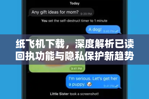 纸飞机下载，深度解析已读回执功能与隐私保护新趋势