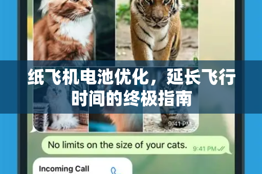 纸飞机电池优化,延长飞行时间的终极指南-第1张图片-纸飞机PC下载-纸飞机中文官网 纸飞机电池优化,延长飞行时间的终极指南-第1张图片-纸飞机PC下载-纸飞机中文官网