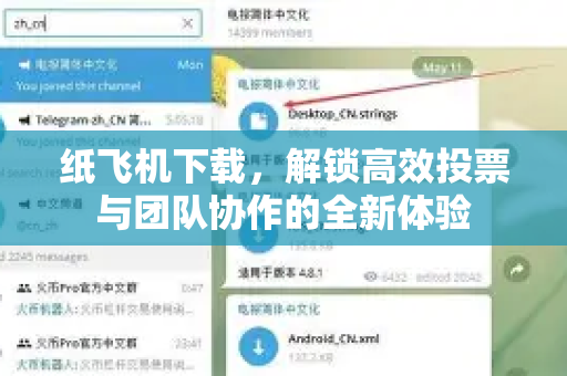 纸飞机下载，解锁高效投票与团队协作的全新体验