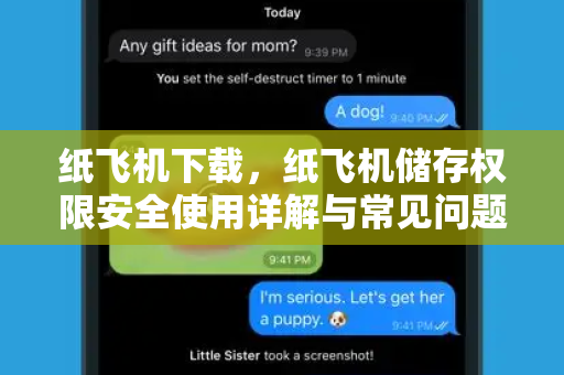 纸飞机下载，纸飞机储存权限安全使用详解与常见问题解答-第1张图片-纸飞机PC下载-纸飞机中文官网