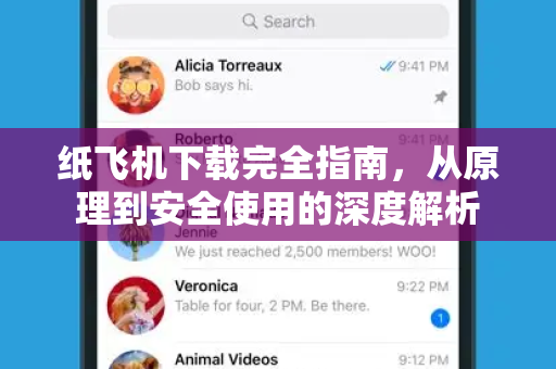 纸飞机下载完全指南，从原理到安全使用的深度解析