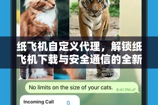 纸飞机自定义代理，解锁纸飞机下载与安全通信的全新维度-第1张图片-纸飞机PC下载-纸飞机中文官网