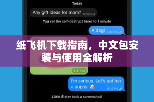纸飞机下载指南，中文包安装与使用全解析-第1张图片-纸飞机PC下载-纸飞机中文官网