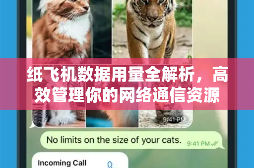 纸飞机数据用量全解析，高效管理你的网络通信资源-第1张图片-纸飞机PC下载-纸飞机中文官网
