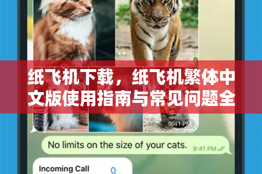 纸飞机下载，纸飞机繁体中文版使用指南与常见问题全解析-第1张图片-纸飞机PC下载-纸飞机中文官网