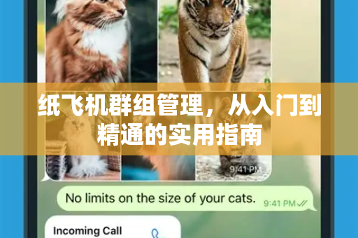 纸飞机群组管理，从入门到精通的实用指南-第1张图片-纸飞机PC下载-纸飞机中文官网