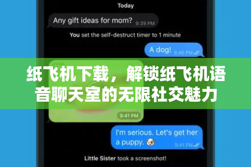 纸飞机下载，解锁纸飞机语音聊天室的无限社交魅力
