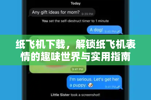 纸飞机下载，解锁纸飞机表情的趣味世界与实用指南-第1张图片-纸飞机PC下载-纸飞机中文官网