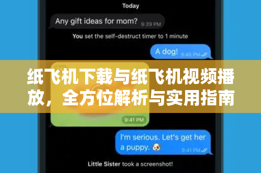 纸飞机下载与纸飞机视频播放，全方位解析与实用指南