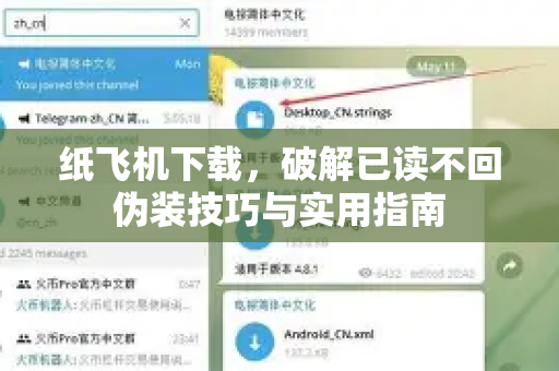 纸飞机下载，破解已读不回伪装技巧与实用指南-第1张图片-纸飞机PC下载-纸飞机中文官网