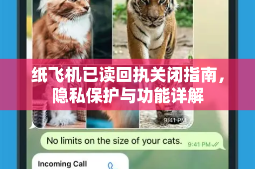 纸飞机已读回执关闭指南，隐私保护与功能详解-第1张图片-纸飞机PC下载-纸飞机中文官网
