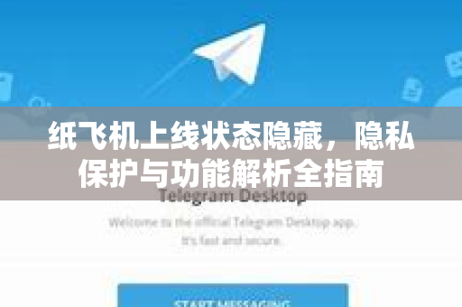 纸飞机上线状态隐藏，隐私保护与功能解析全指南