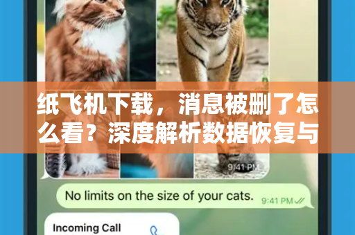 纸飞机下载，消息被删了怎么看？深度解析数据恢复与隐私保护