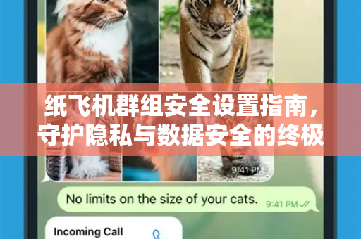纸飞机群组安全设置指南，守护隐私与数据安全的终极方案