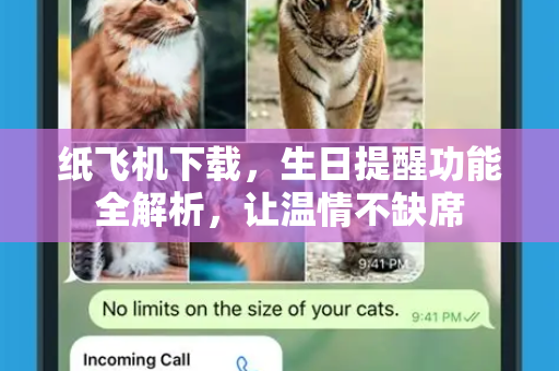 纸飞机下载，生日提醒功能全解析，让温情不缺席-第1张图片-纸飞机PC下载-纸飞机中文官网