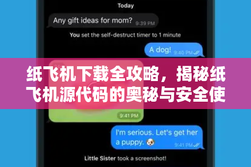 纸飞机下载全攻略，揭秘纸飞机源代码的奥秘与安全使用指南