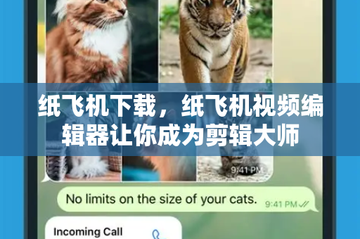 纸飞机下载，纸飞机视频编辑器让你成为剪辑大师-第1张图片-纸飞机PC下载-纸飞机中文官网