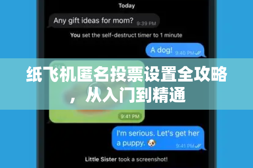 纸飞机匿名投票设置全攻略，从入门到精通-第1张图片-纸飞机PC下载-纸飞机中文官网