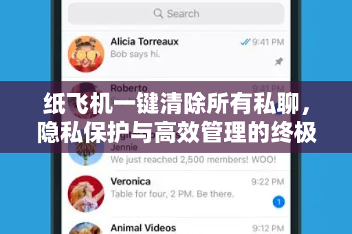 纸飞机一键清除所有私聊，隐私保护与高效管理的终极指南