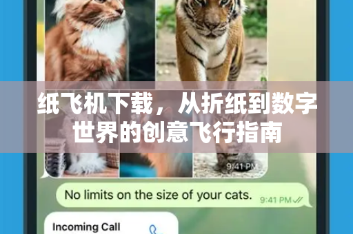 纸飞机下载，从折纸到数字世界的创意飞行指南-第1张图片-纸飞机PC下载-纸飞机中文官网