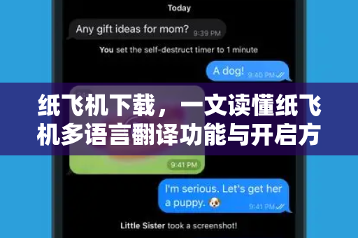 纸飞机下载，一文读懂纸飞机多语言翻译功能与开启方法-第1张图片-纸飞机PC下载-纸飞机中文官网