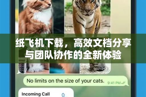 纸飞机下载，高效文档分享与团队协作的全新体验