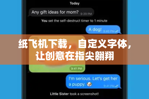 纸飞机下载，自定义字体，让创意在指尖翱翔