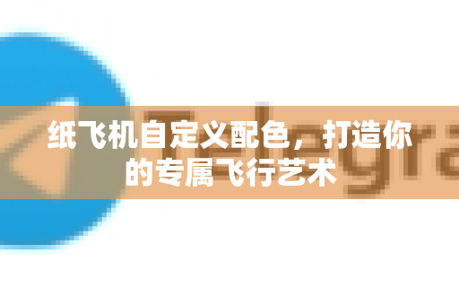 纸飞机自定义配色，打造你的专属飞行艺术
