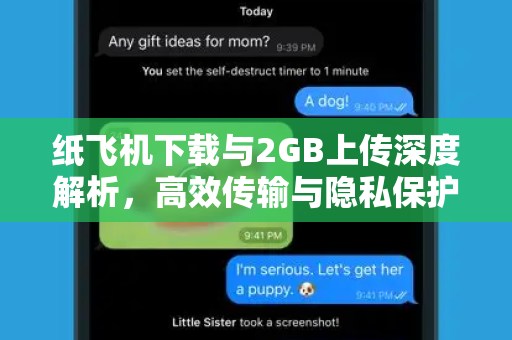 纸飞机下载与2GB上传深度解析，高效传输与隐私保护的完美平衡