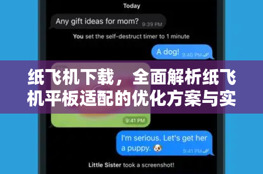纸飞机下载，全面解析纸飞机平板适配的优化方案与实用技巧