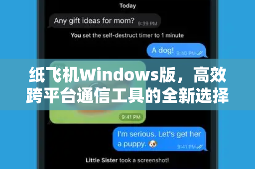 纸飞机Windows版，高效跨平台通信工具的全新选择-第1张图片-纸飞机PC下载-纸飞机中文官网