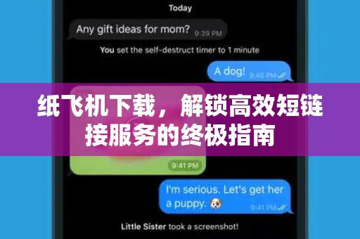纸飞机下载，解锁高效短链接服务的终极指南-第1张图片-纸飞机PC下载-纸飞机中文官网