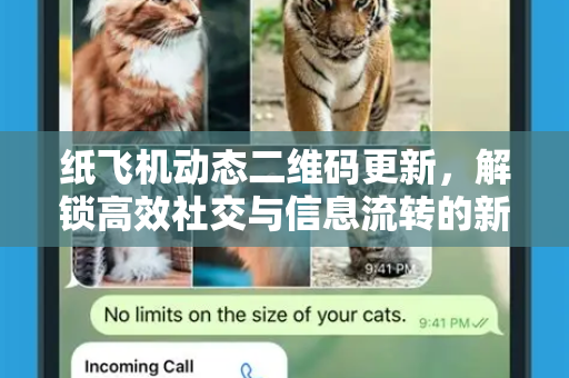 纸飞机动态二维码更新，解锁高效社交与信息流转的新时代