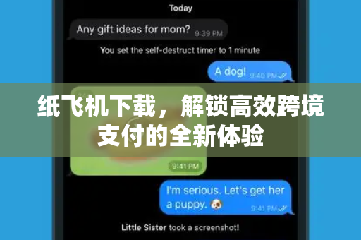 纸飞机下载，解锁高效跨境支付的全新体验