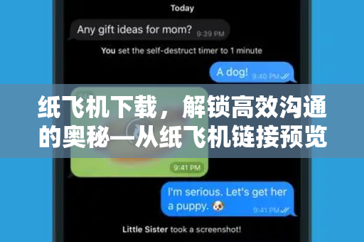 纸飞机下载，解锁高效沟通的奥秘—从纸飞机链接预览到即时通讯新体验