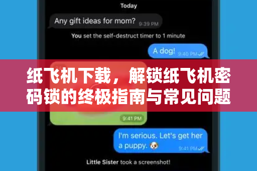 纸飞机下载，解锁纸飞机密码锁的终极指南与常见问题解答