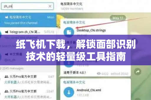 纸飞机下载，解锁面部识别技术的轻量级工具指南