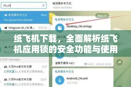 纸飞机下载，全面解析纸飞机应用锁的安全功能与使用指南